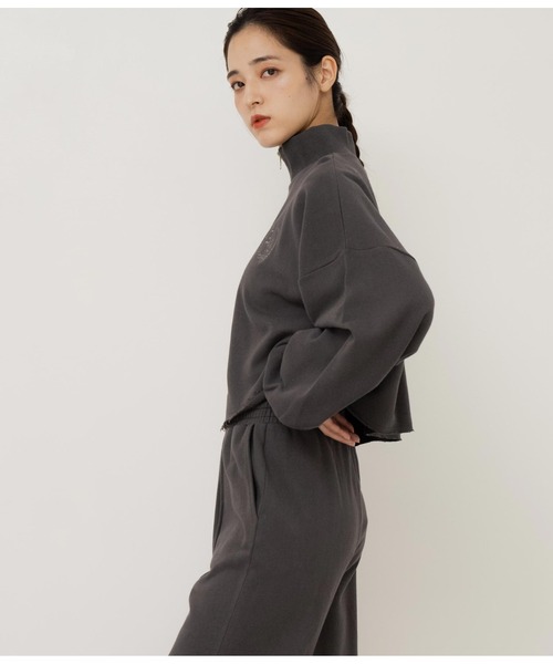 ANAP（アナップ）の「エンブレム刺繍ハーフジップ裏毛トップス（スウェット・レディース・スミクロ/ライトグレー・FREE）」の5枚目の写真