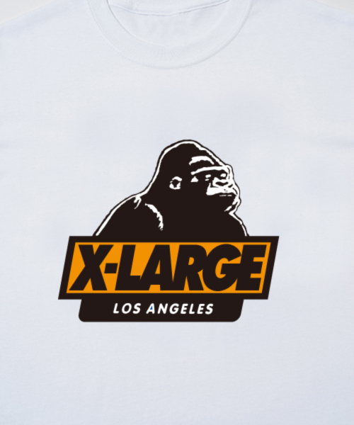 XLARGE（エクストララージ）の「S/S TEE SLANTED OG（Tシャツ/カットソー・メンズ・ブラック/ホワイト・MEDIUM/X-LARGE/SMALL/LARGE）」の4枚目の写真