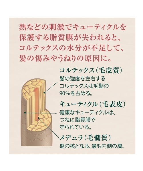 L'OCCITANE(ロクシタン)の「インテンシヴリペア ヘアミルクセラム 100mL 洗い流さないヘアトリートメント(ヘアオイル/ヘアミルク・レディース・その他・FREE)」の6枚目の写真