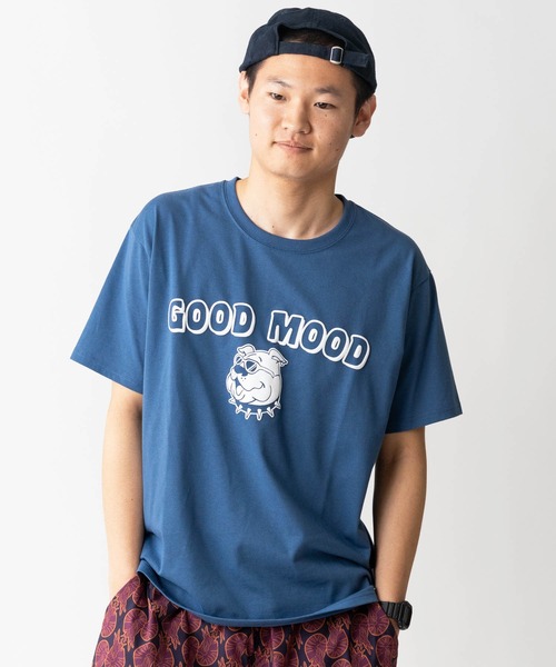 スタディアップ　コンプリートマスター&プラチナインプット 25FW Graphic Collection