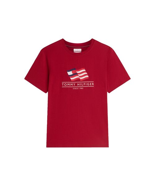 TOMMY HILFIGER(トミーヒルフィガー)の「メインフラッグレギュラーTシャツ(Tシャツ/カットソー・メンズ・レッド/ホワイト/ネイビー・SMALL/MEDIUM/LARGE/X-LARGE)」の11枚目の写真