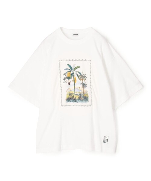 caban(キャバン)の「スビンコットン TROPICAL HORIZON Tシャツ(Tシャツ/カットソー・メンズ・カーキ/イエロー系その他/ブラック系その他/ホワイト系その他・M/S/L)」の2枚目の写真