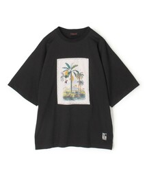 スビンコットン TROPICAL HORIZON Tシャツ