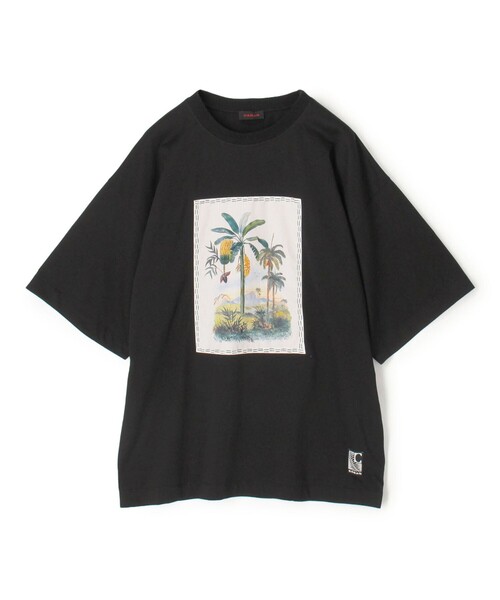 caban(キャバン)の「スビンコットン TROPICAL HORIZON Tシャツ(Tシャツ/カットソー・メンズ・カーキ/イエロー系その他/ブラック系その他/ホワイト系その他・M/S/L)」の3枚目の写真
