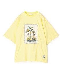 CABaN｜キャバンのTシャツ/カットソー（花柄・ボタニカル柄）通販
