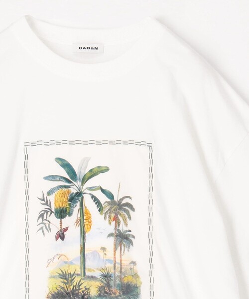 caban(キャバン)の「スビンコットン TROPICAL HORIZON Tシャツ(Tシャツ/カットソー・メンズ・カーキ/イエロー系その他/ブラック系その他/ホワイト系その他・M/S/L)」の7枚目の写真