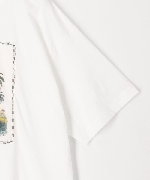 caban(キャバン)の「スビンコットン TROPICAL HORIZON Tシャツ(Tシャツ/カットソー・メンズ・カーキ/イエロー系その他/ブラック系その他/ホワイト系その他・M/S/L)」の8枚目の写真