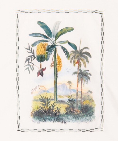caban(キャバン)の「スビンコットン TROPICAL HORIZON Tシャツ(Tシャツ/カットソー・メンズ・カーキ/イエロー系その他/ブラック系その他/ホワイト系その他・M/S/L)」の12枚目の写真
