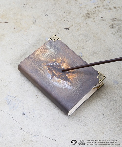 FLAPPER フラッパー: HarryPotter ハリー・ポッター ハリー・ポッター