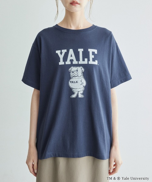 ROPE' PICNIC（ロペピクニック）の「YALE&HARVARD/プリントTシャツ（Tシャツ/カットソー・レディース・ブルー系その他/ボルドー・38）」の21枚目の写真