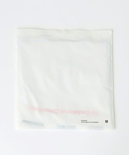 Ophrys（オフリス）の「＜Ophrys＞The Evolution of Consolidation Tシャツ（Tシャツ/カットソー・レディース・レッド・M）」の15枚目の写真