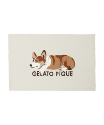 【gelato pique】エアモコ SLEEPING DOG Amazon | [ジェラート ピケ] エアモコSLEEPING DOG JQDプル