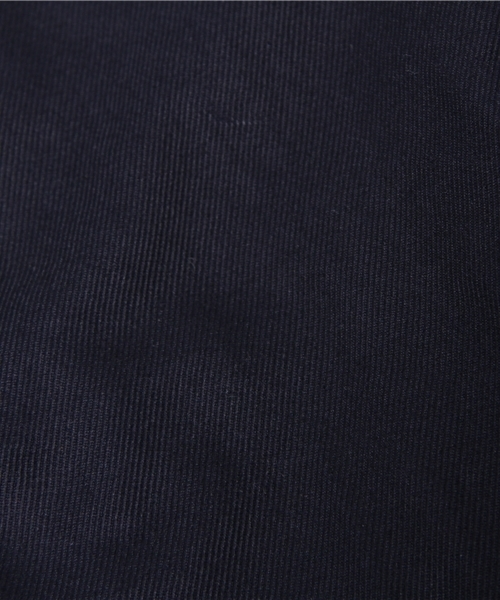 Dickies（ディッキーズ）の「ヘビーコットンツイルチノパンツ（チノパンツ・メンズ・ベージュ/ネイビー・MEDIUM/LARGE）」の10枚目の写真