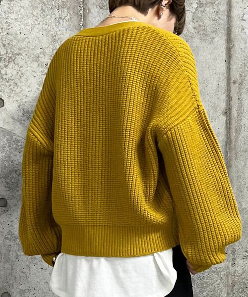THE SHOP TK (ザ ショップ ティーケー )の「◆畦編みVネックカーディガン(カーディガン/ボレロ・レディース・マスタード/ブラック/アイボリー・12/13)」の16枚目の写真
