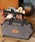 DULTON�i�_���g���j�́uWAX CANVAS TOOL BAG/���b�N�X �L�����o�X �c�[�� �o�b�O�i�n���h�o�b�O�j�v�b�I���[�u