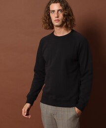DRESSTERIOR（ドレステリア）の「◆バックフリース ラグランプルオ－バー（Tシャツ/カットソー・メンズ）」