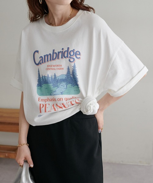 DISCOAT（ディスコート）の「【WEB限定】CamBridgeスーベニアビックTシャツ《ユニセックス》（Tシャツ/カットソー・レディース・ホワイト/ブラウン/ライトベージュ・FREE）」の7枚目の写真