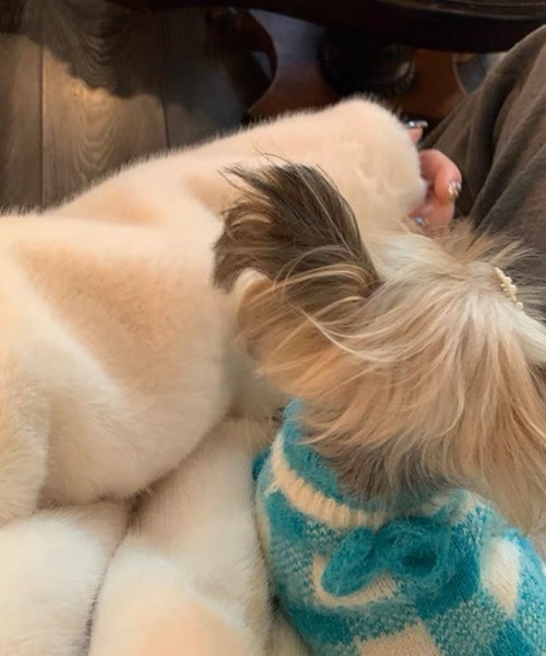 DIAVEL(ディアベル)の「ショートファーコート(その他アウター・レディース・ホワイト・M)」の6枚目の写真