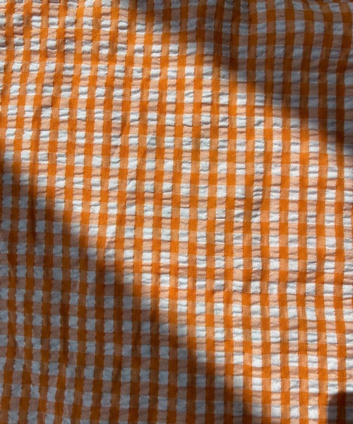 UNDERSTATEMENTs(アンダーステイトメント)の「【ユニセックス】sefumiコラボ企画/ギンガムチェックロゴ刺繍トートバック(トートバッグ・レディース・オレンジ/ブルー・FREE)」の16枚目の写真