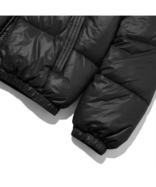 F.ILLUMINATE（フィルミネイト）の「グロッシーデュースダウンジャケット-ブラック（ダウンジャケット/コート・メンズ・その他・LARGE/SMALL/MEDIUM）」の11枚目の写真