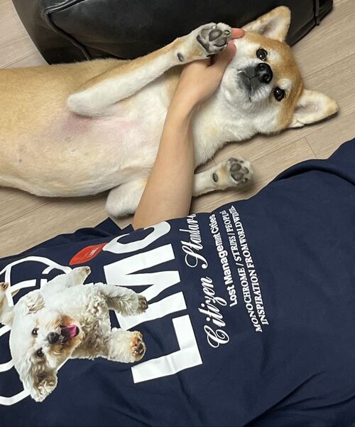 LMCの「FLYING PUPPY LONG SLV TEE sand(Tシャツ/カットソー・レディース・その他・S/M/L/XL)」の12枚目の写真