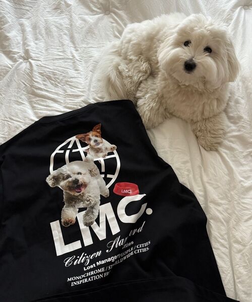 LMCの「FLYING PUPPY LONG SLV TEE sand(Tシャツ/カットソー・レディース・その他・S/M/L/XL)」の15枚目の写真