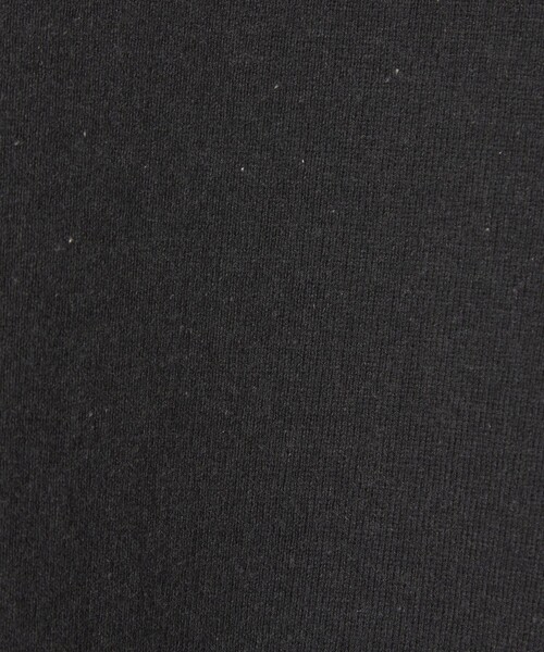 BEAUTY&YOUTH UNITED ARROWS(ビューティーアンドユースユナイテッドアローズ)の「<ときめきメモリアル for UACG>BASIC TEE/Tシャツ(Tシャツ/カットソー・レディース・オフホワイト/ブラック・S/M/L/XL)」の12枚目の写真