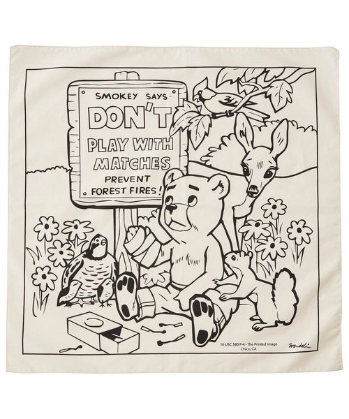 A&F(エーアンドエフ)の「【MADE IN USA】The Printed Image プリンティッドイメージ ネイチャープリントバンダナ(バンダナ/スカーフ・メンズ・A/B/C・FREE)」の3枚目の写真