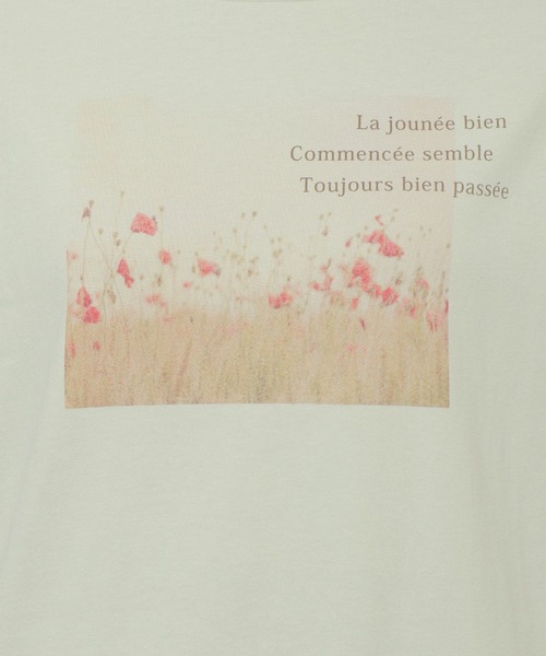 LBC（エルビーシー）の「USAコットンフォトロンT（Tシャツ/カットソー・レディース・チャコールグレー/ミント/ホワイト・M/L）」の14枚目の写真
