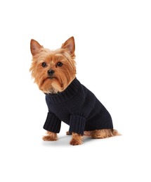 RALPH LAUREN HOME（ラルフ ローレン ホーム）の「ベア ウールブレンド ドッグ セーター（ペットウェア・レディース）」