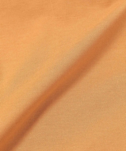 LEPSIM(レプシィム)の「マルチキノウチュニック 262406(Tシャツ/カットソー・レディース・ブラック/オフホワイト/オレンジ/グリーン/グレイッシュベージュ・FREE)」の13枚目の写真