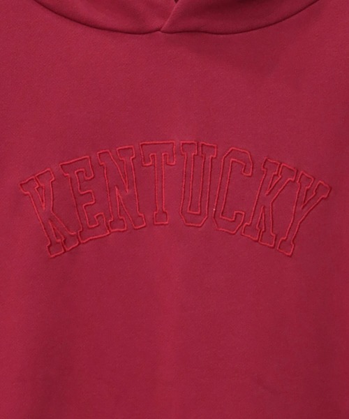 CORISCO（コリスコ）の「ヘビーウエイト裏毛カレッジ刺しゅうBIGプルパーカー(M1)（パーカー・メンズ・ホワイト/レッド/ブラック/ブルー/グレー・MEDIUM/LARGE/X-LARGE）」の19枚目の写真