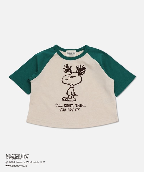 PEANUTS（ピーナッツ）の「PEANUTS / ピーナッツ スヌーピー 半袖Tシャツ（Tシャツ/カットソー・キッズ・B/E/D/A/C/F・120cm/80ｃｍ/90cm/100cm/110cm/130cm/140cm）」の6枚目の写真