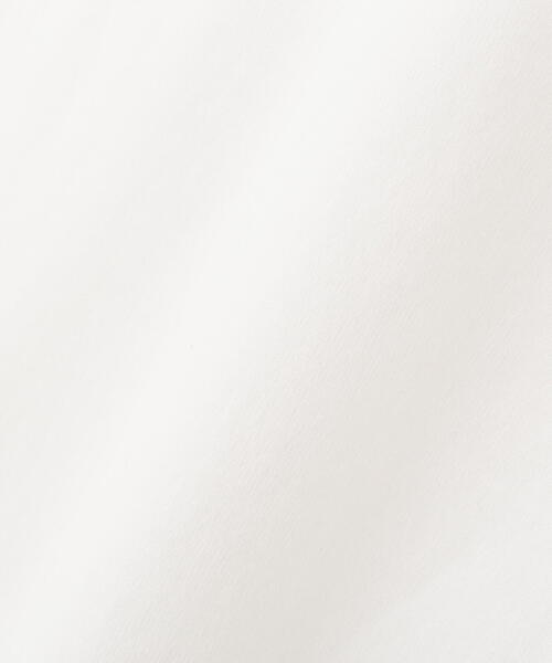 PROPORTION BODY DRESSING(プロポーションボディドレッシング)の「ロゴロンTEE / 1214260906(Tシャツ/カットソー・レディース・ブラック/ベージュ系その他/レッド・FREE)」の17枚目の写真