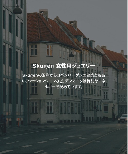 SKAGEN（スカーゲン）の「スカーゲン アクセサリー レディース ブレスレット ゴールド SKJ5010710（ブレスレット・レディース・GOLD・FREE）」の6枚目の写真