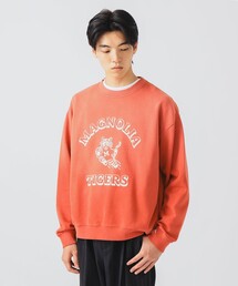 BEAMS HEART | タイガー フロッキー スウェット(スウェット)