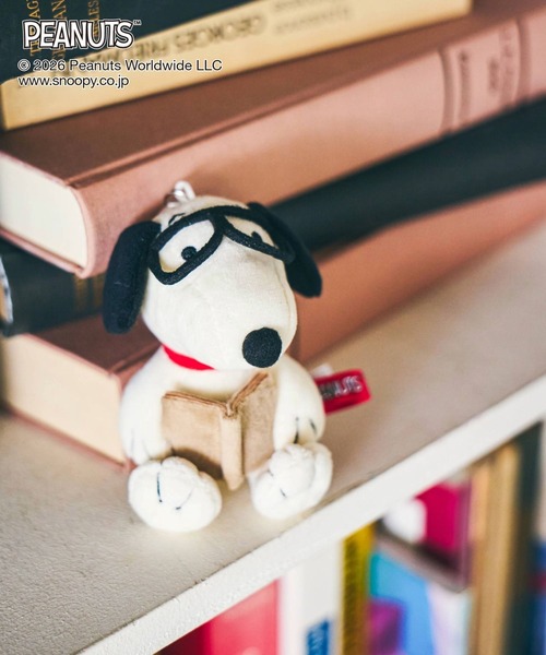 GLOBAL WORK(グローバルワーク)の「PEANUTS/トイチャーム/636330(キーホルダー・キッズ・その他2/その他1・ONE SIZE)」の2枚目の写真