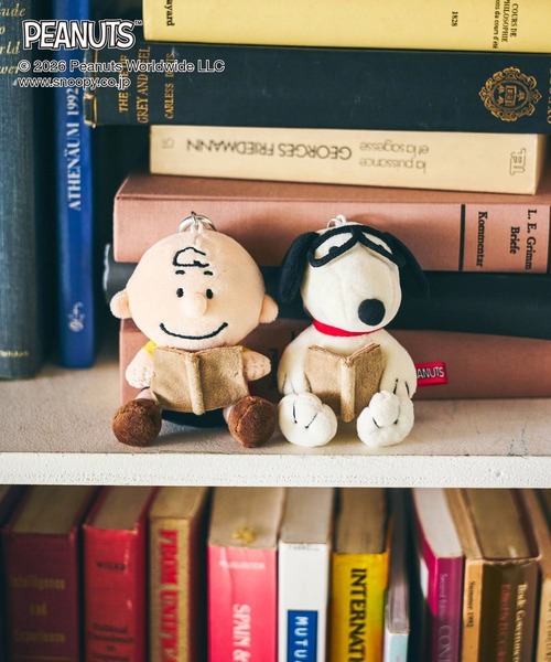 GLOBAL WORK(グローバルワーク)の「PEANUTS/トイチャーム/636330(キーホルダー・キッズ・その他2/その他1・ONE SIZE)」の4枚目の写真