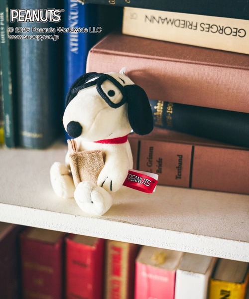 GLOBAL WORK(グローバルワーク)の「PEANUTS/トイチャーム/636330(キーホルダー・キッズ・その他2/その他1・ONE SIZE)」の7枚目の写真