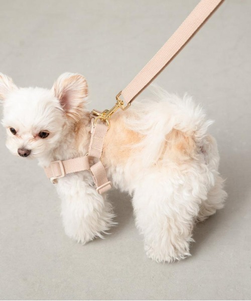 moncheri（モンシェリ）の「くまさんハーネス【ワンタッチ着脱・サイズ調整可能・８㎏まで対応】（リード/ハーネス/首輪・レディース・アイボリー・S/M/L）」の9枚目の写真