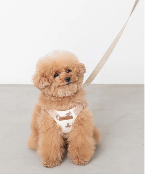 【moncheri】くまさんハーネス、リード　セット販売 moncheri モンシェリ] くまさんハーネス / 犬 犬用 ハーネス