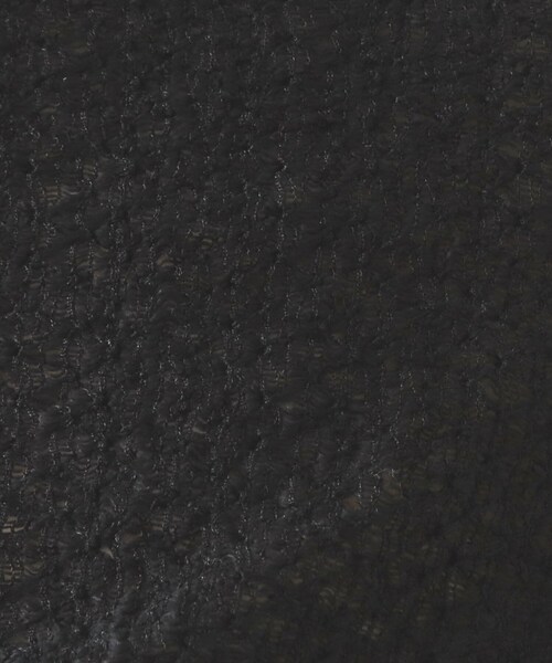 OPAQUE.CLIP(オペークドットクリップ)の「◆シアーレースハイネックトップス【洗濯機洗い可】(Tシャツ/カットソー・レディース・ホワイト/ブラック/ダークグレー・40/38/42)」の11枚目の写真