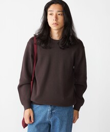 SHIPS:〈洗濯機可能〉SOLOTEX(R) 12ゲージ コットン 畦編み クルーネック ニット