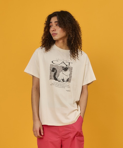 SAWINTO(ソイント)の「VARIOUS PRINTS【ヴェアリアス プリンツ】 ”ADVICE CAT”/"アドバイス キャット”(Tシャツ/カットソー・メンズ・ナチュラル・MEDIUM/LARGE/X-LARGE)」の1枚目の写真