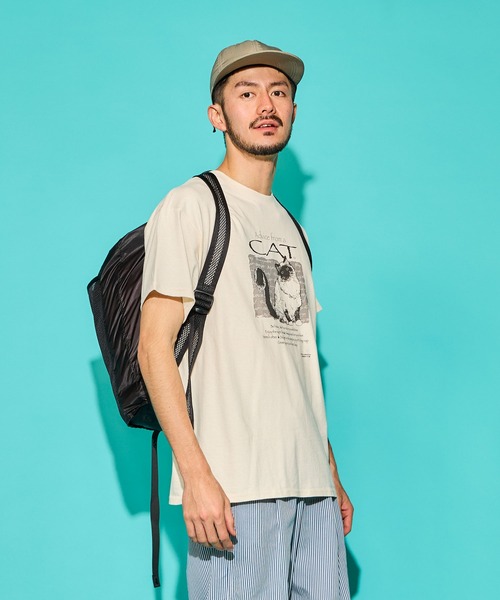 SAWINTO(ソイント)の「VARIOUS PRINTS【ヴェアリアス プリンツ】 ”ADVICE CAT”/"アドバイス キャット”(Tシャツ/カットソー・メンズ・ナチュラル・MEDIUM/LARGE/X-LARGE)」の3枚目の写真