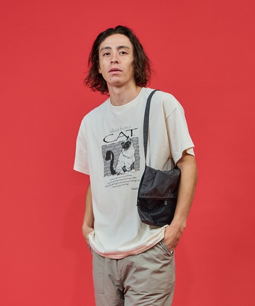 SAWINTO(ソイント)の「VARIOUS PRINTS【ヴェアリアス プリンツ】 ”ADVICE CAT”/"アドバイス キャット”(Tシャツ/カットソー・メンズ・ナチュラル・MEDIUM/LARGE/X-LARGE)」の6枚目の写真