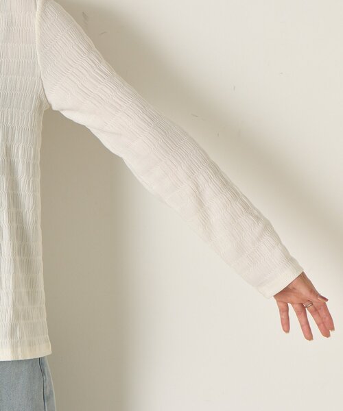 Jena espace merveilleux（ジェナ　エスパスメルヴェイユ）の「ストレッチジャガードカットソー（Tシャツ/カットソー・レディース・ブラック/オフホワイト・FREE）」の21枚目の写真