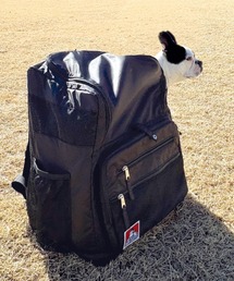 BEN DAVIS（ベンデイビス）の「PET　CARRY　BACKPACK（ペット用キャリーケース）」