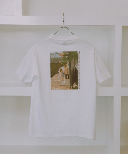 ROPE' PICNIC(ロペピクニック)の「【DOG MAGAZINE×ROPE' PICNIC】DOGフォトTシャツ(Tシャツ/カットソー・レディース・ホワイト系その他/ホワイト系その他2/ホワイト系その他4・FREE)」の7枚目の写真