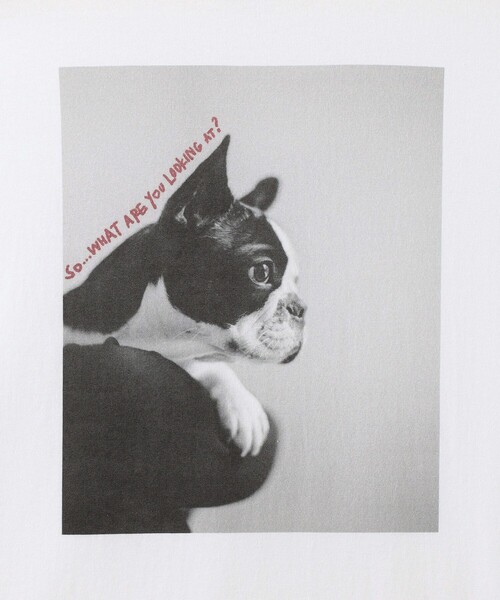 ROPE' PICNIC(ロペピクニック)の「【DOG MAGAZINE×ROPE' PICNIC】DOGフォトTシャツ(Tシャツ/カットソー・レディース・ホワイト系その他/ホワイト系その他2/ホワイト系その他4・FREE)」の11枚目の写真